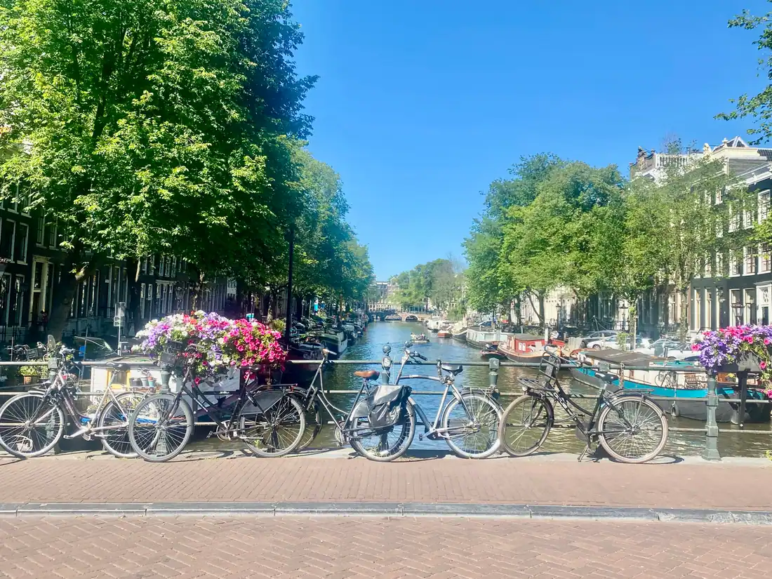 Bicycles parked along a canal side railing under trees, with flower boxes and houses on the far bank.