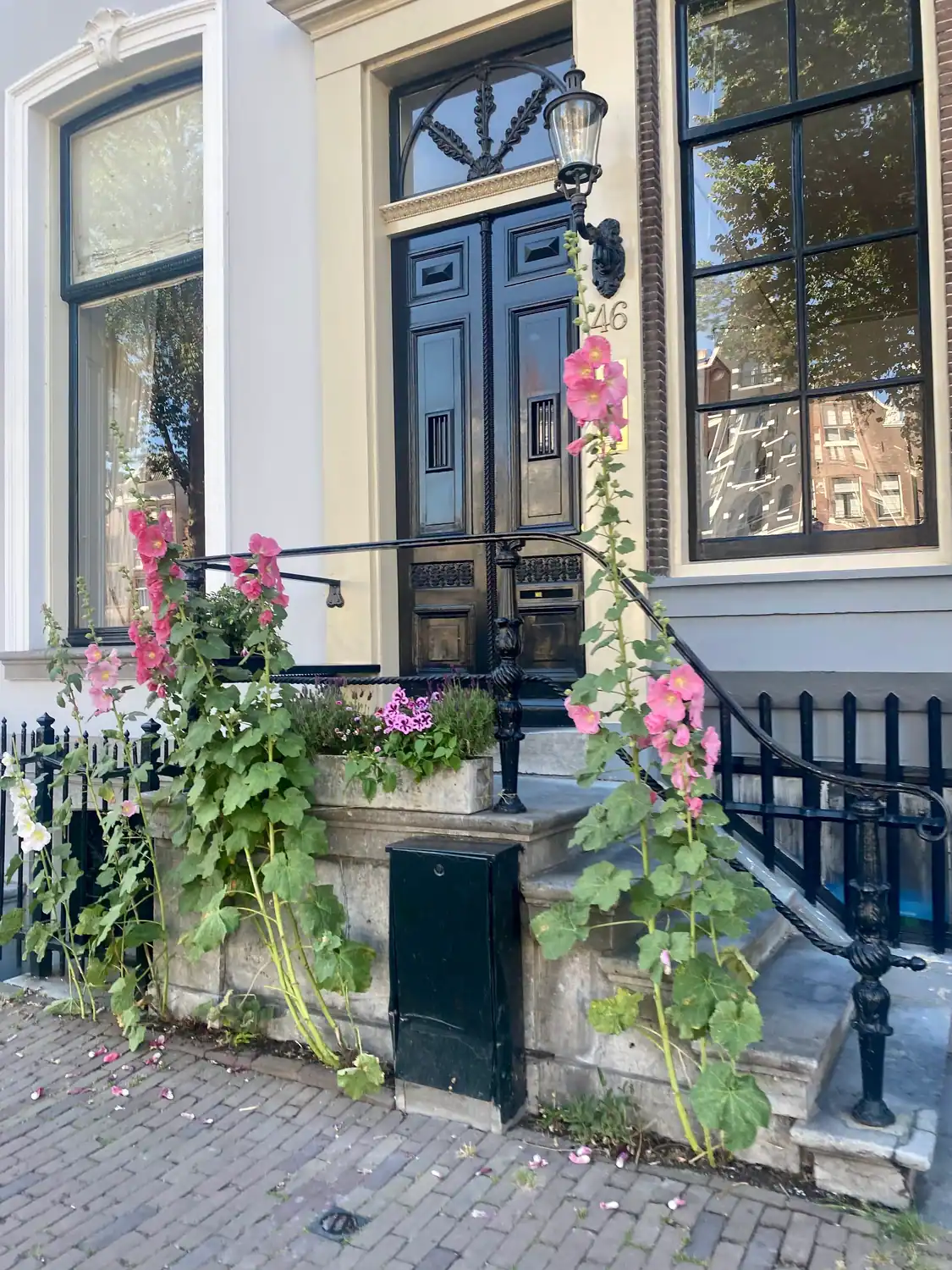 A house front of painted stone with a panelled door and a wall lamp, with tall hollyhocks growing in the bed beside it.