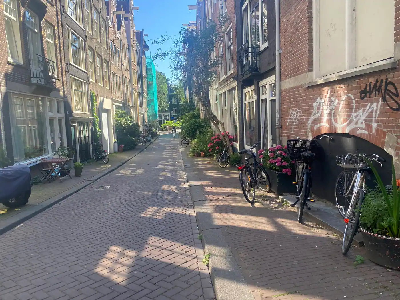A narrow brick paved street between houses, with bikes, planters and scooters along both sides.