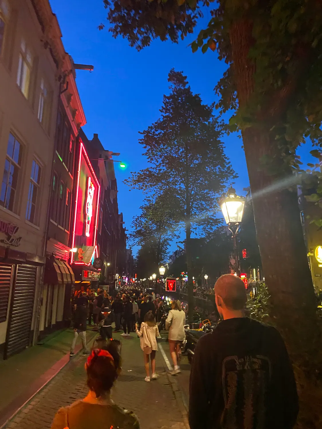 An evening street at dusk with lit windows and a crowd walking away from the camera, one man's back close in the frame.
