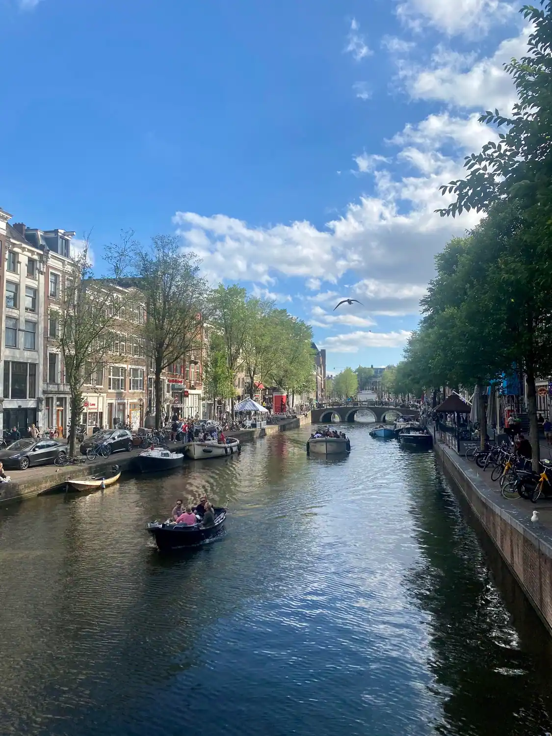 A canal seen along its length from a bridge, with boats moored and moving, trees and narrow houses along both banks, and stone bridges receding into the distance.