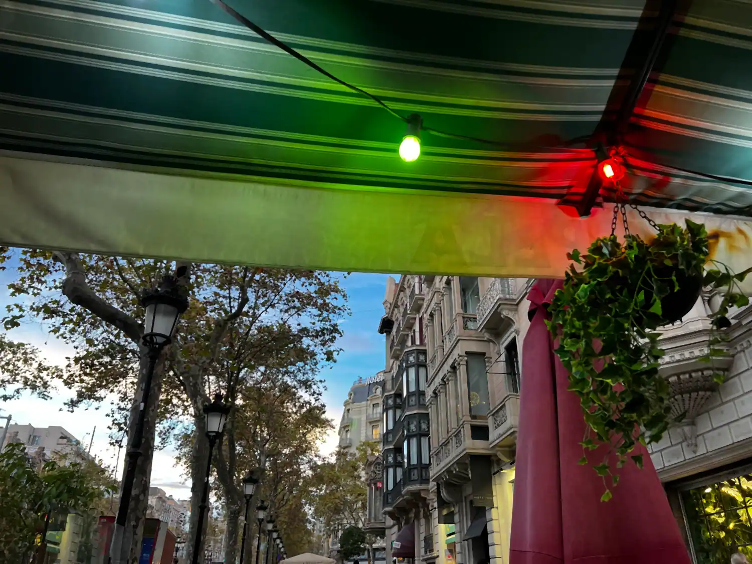 A street seen from under a lit market awning hung with baskets, the buildings across the road beyond.