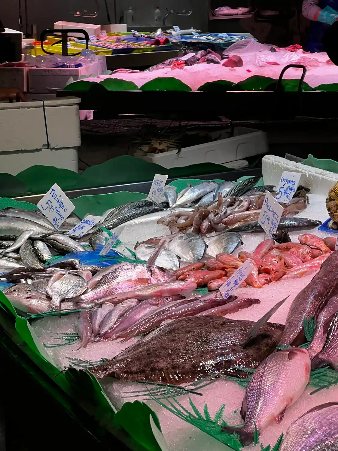 A fish counter behind plastic, rows of small fish and shellfish in trays with price cards.