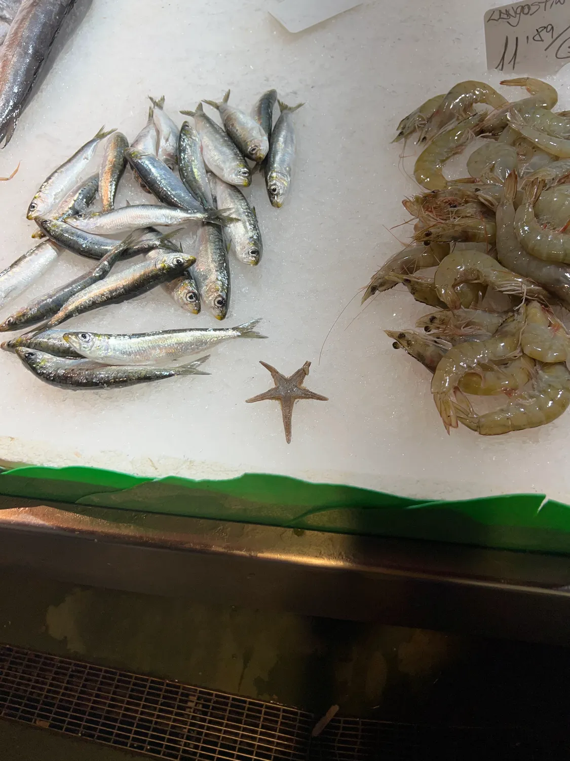 Fish and prawns laid out on a white slab, a painted board behind and a price card at the corner.