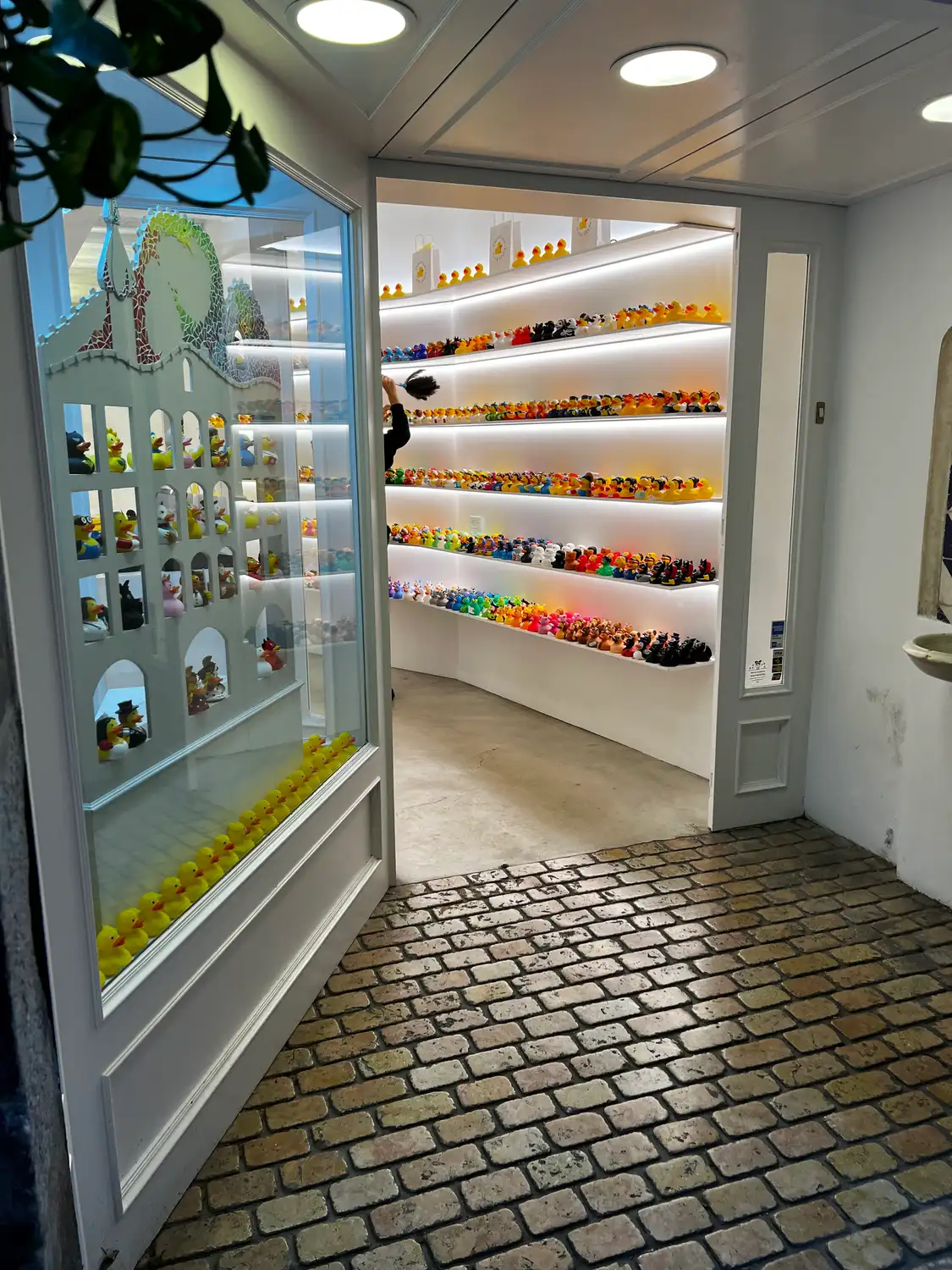 A shop whose lit shelves hold rows of small toy ducks, a white model building standing behind glass.
