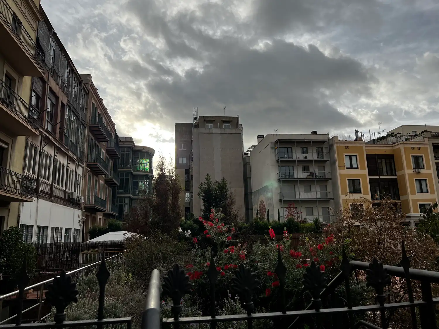 A city garden with clipped hedges and shrubs, apartment blocks behind and a small sign on a post.