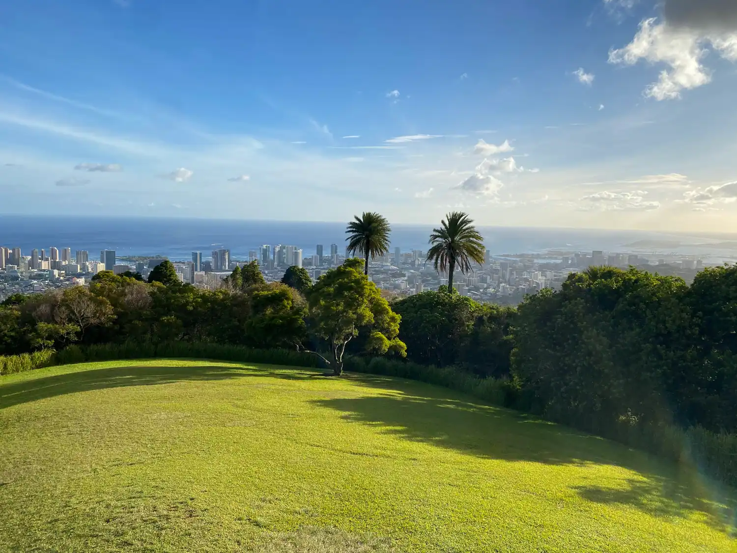 A wide green lawn running down to trees, with two palm trees standing against a city skyline, the sea and a line of cloud beyond.