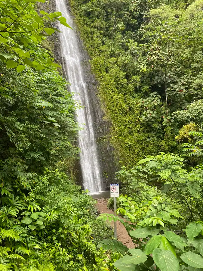 A tall waterfall falling down a dark cliff between dense green foliage, with a small white sign on a post beside the path below.