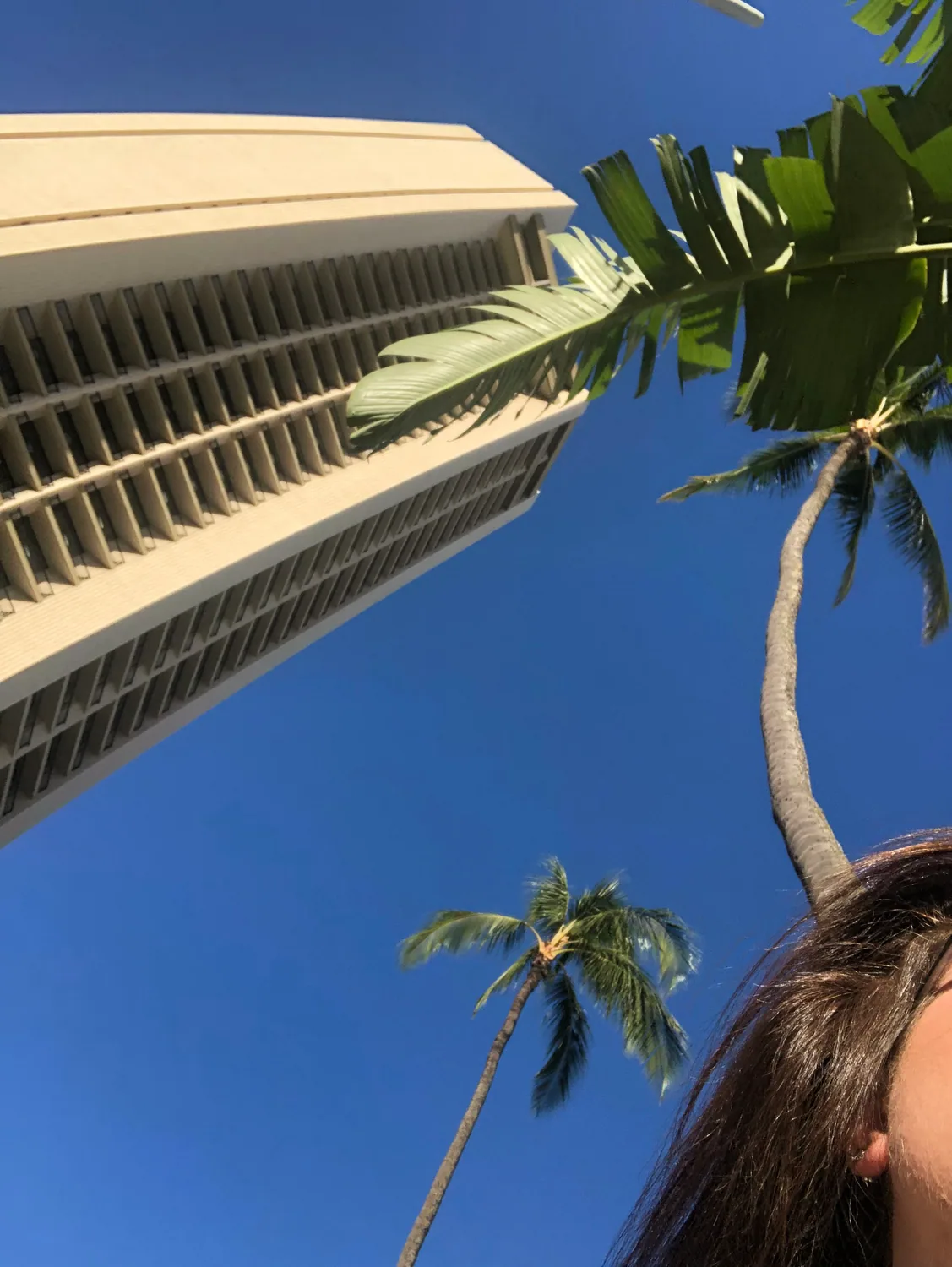 A tall building's louvred flank seen from below against a blue sky, with palm fronds across it and long hair entering the frame at the lower right corner.