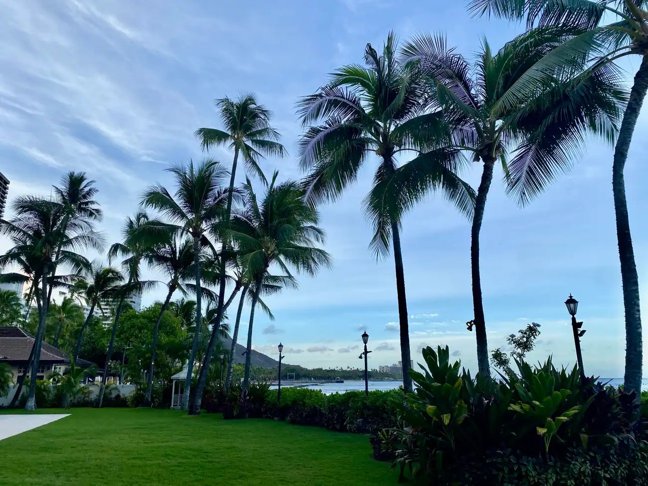 Palm trees on a lawn above the water with lamp posts, and a headland and the sea beyond.