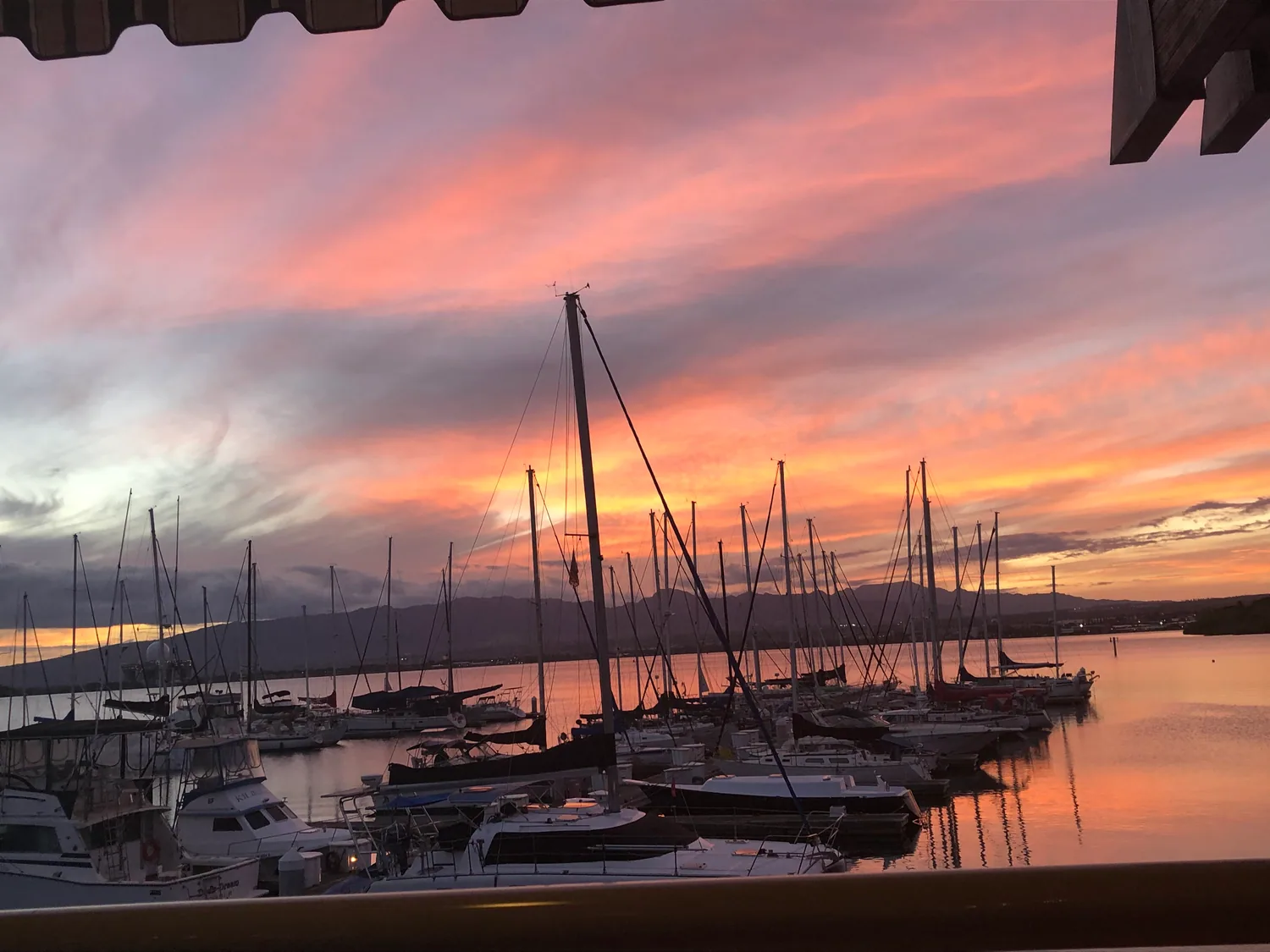 A marina of moored yachts and masts at sunset, the water still, with a dark ridge of hills along the horizon.