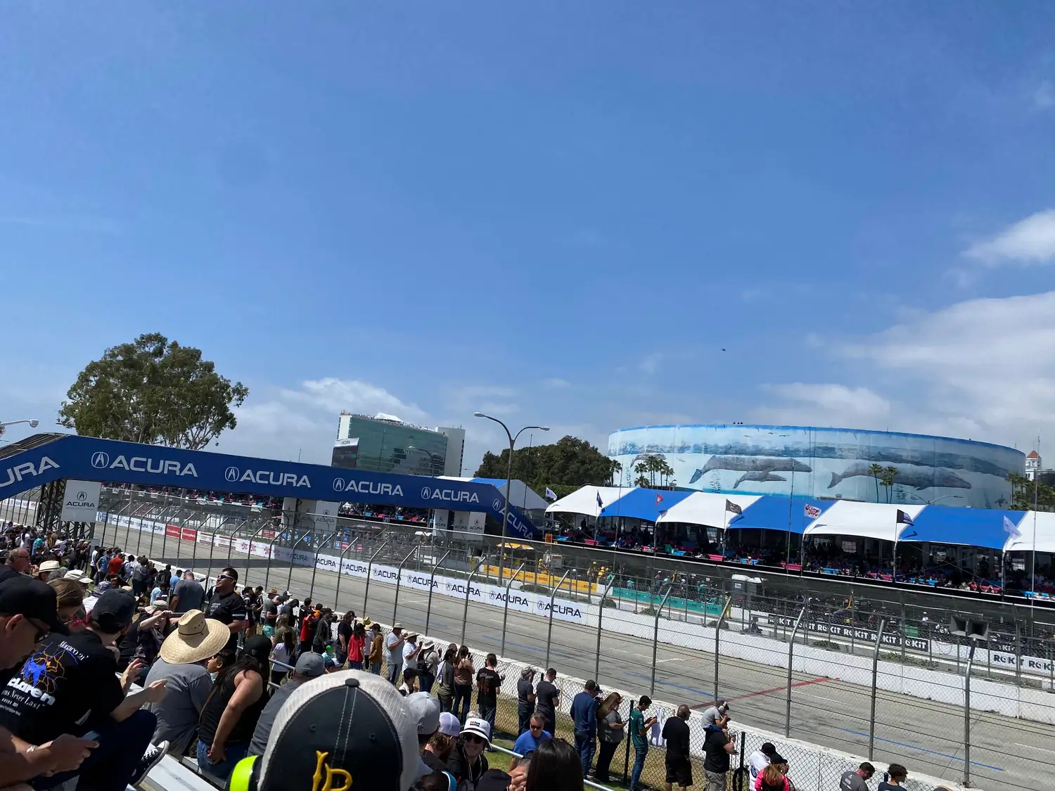 Crowds along the barrier of a race track seen over a wire fence from the stands, blue tents beyond, under a wide blue sky.