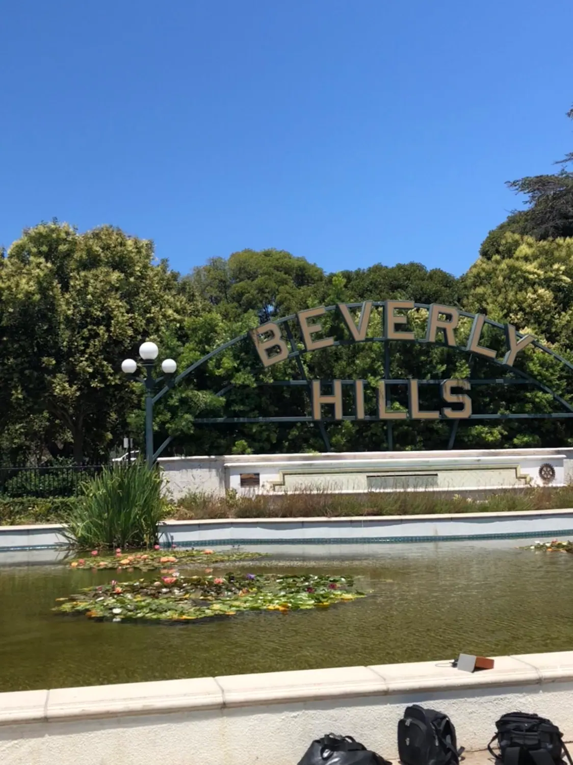 A sign with raised letters set into a green hillside, above a pond covered in lily pads.