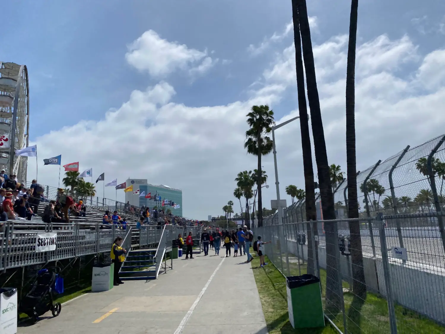 A palm lined walkway with a crowd gathered in the distance under a wide sky.