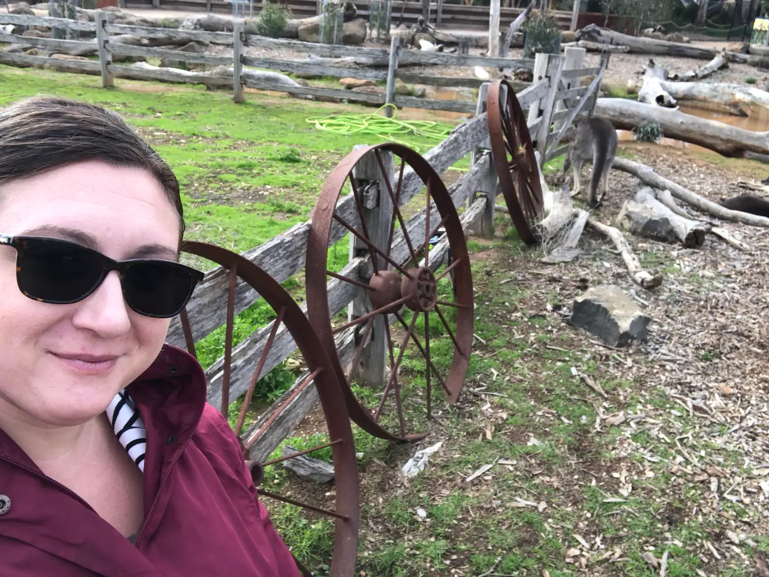 A woman in a maroon jacket and dark glasses standing at a timber and wire fence, with two rusted wagon wheels behind her and a kangaroo sitting beyond the fence.