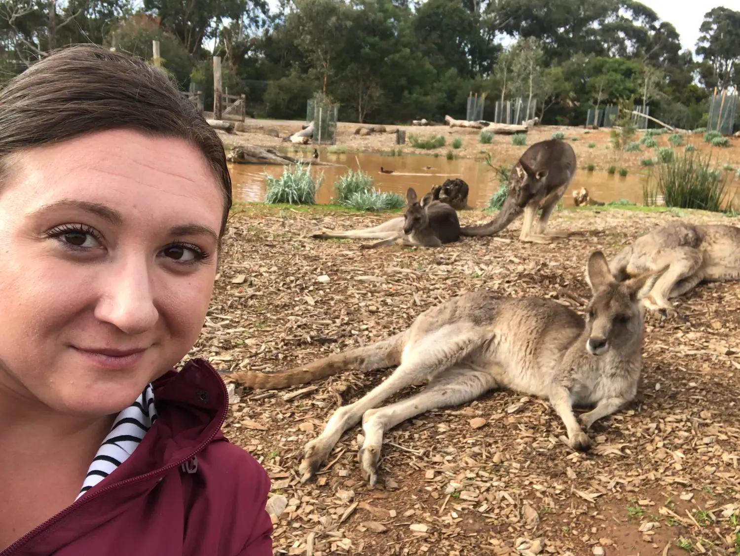 A selfie of a woman with kangaroos lying on woodchip ground behind her, a pond and trees beyond, and enclosure fencing in the distance.