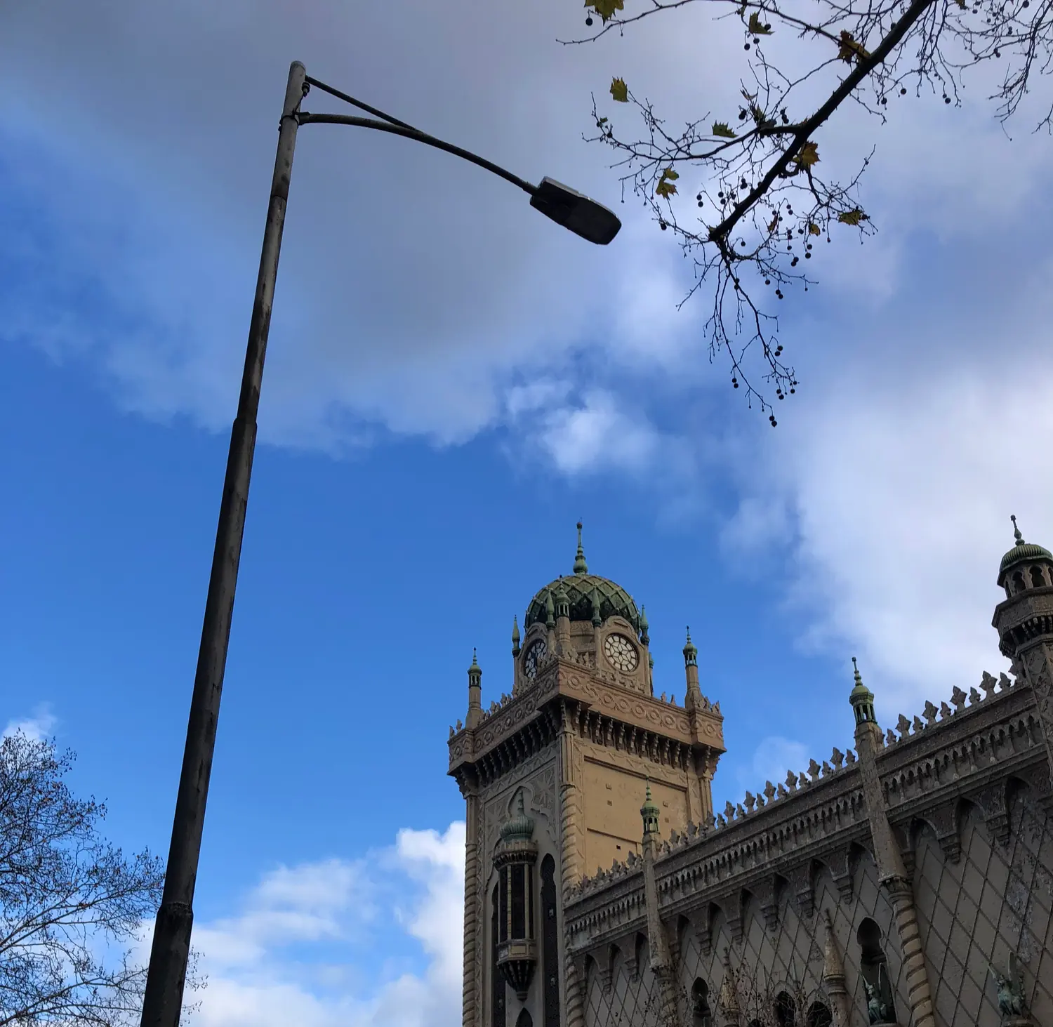 A green-domed clock tower on an ornate pale building, seen past a bare branch against a deep blue sky.