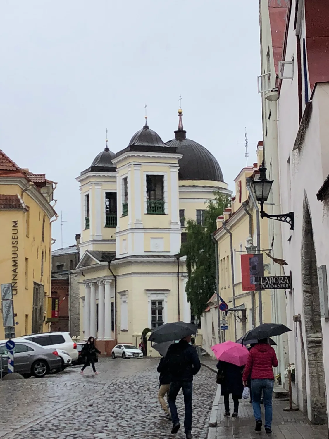 A street of houses with people under umbrellas and a domed building at the end.