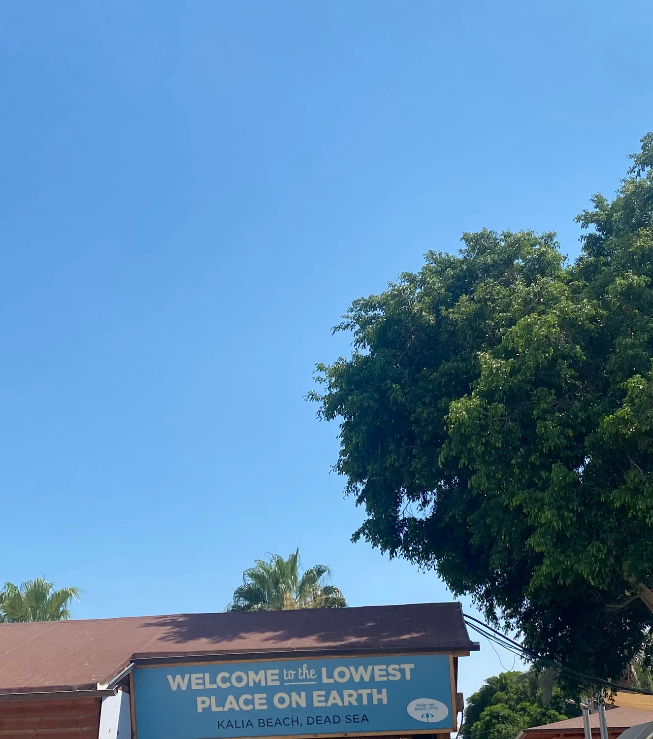 A welcome sign on the front of a beach building reading Welcome to the lowest place on earth, with a large leafy tree above it and clear sky.