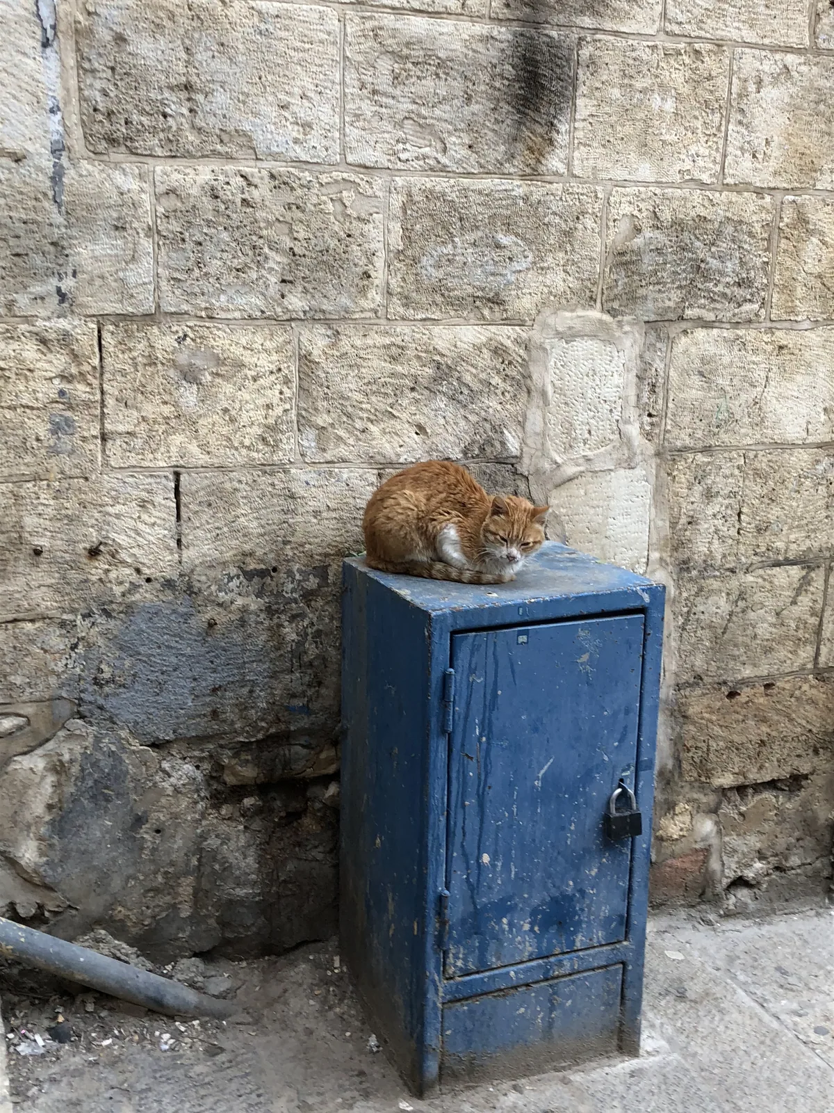 An orange tabby cat asleep on top of a blue metal box standing against a stone wall.