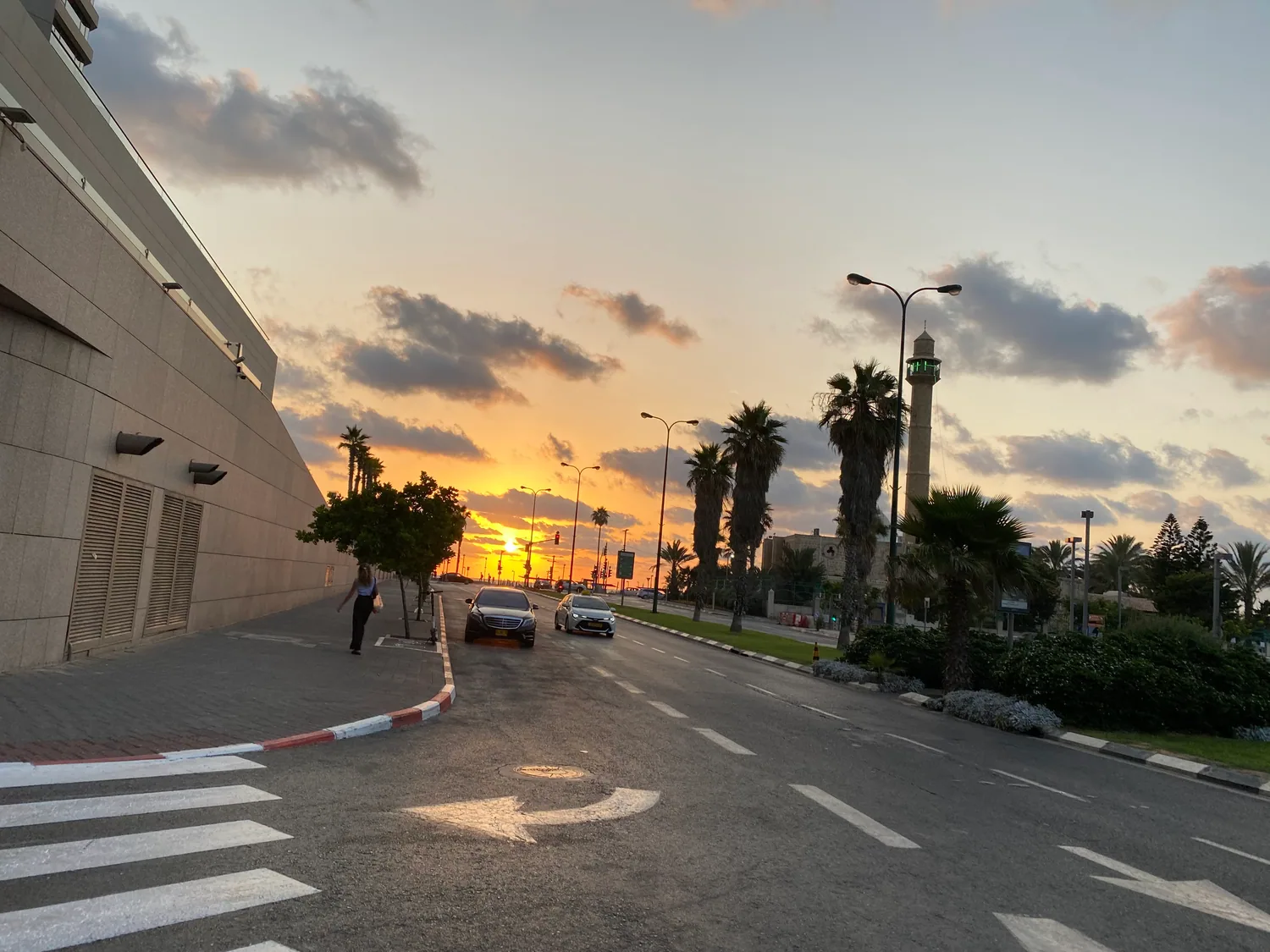 A street at dusk with the sun going down between a building and a row of palms, a crossing in the road and a slim tower far down the street.
