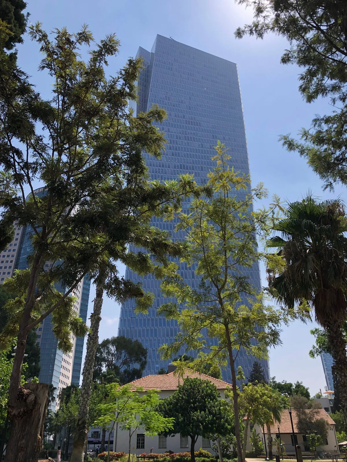 A tall glass tower rising behind a garden, a low building with a tiled roof and a dome below it and tall trees and palms across the front.