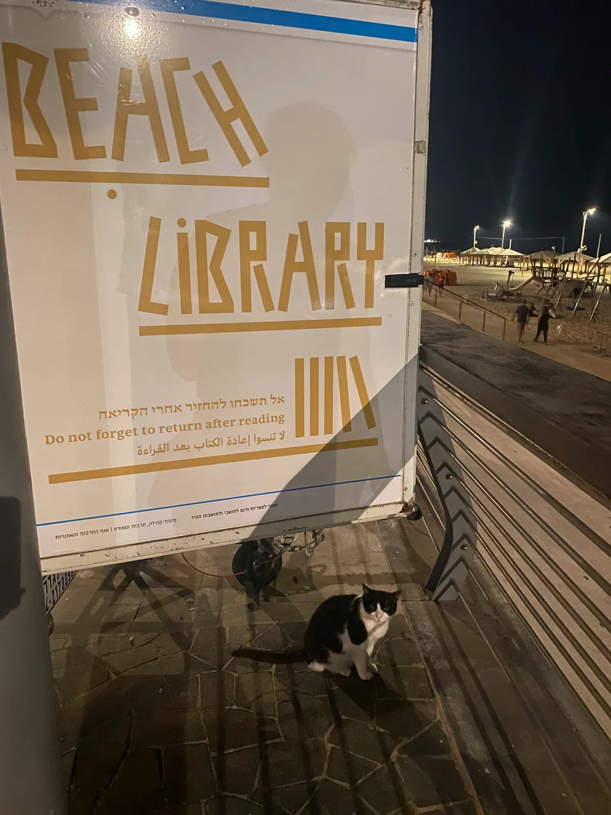 A cat sitting on the paving under a white box on a promenade at night, the box lettered BEACH LIBRARY with a line of smaller text under it.