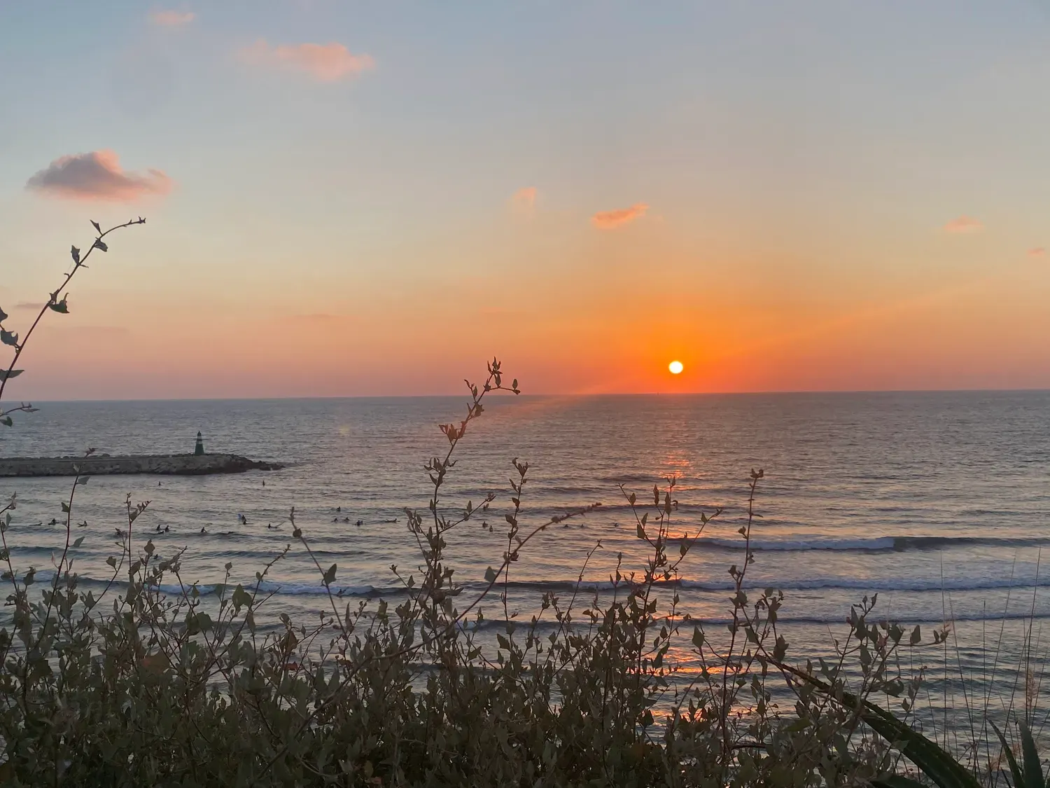 The sun setting low over the sea, with scrubby beach plants across the foreground and long lines of swell coming in.