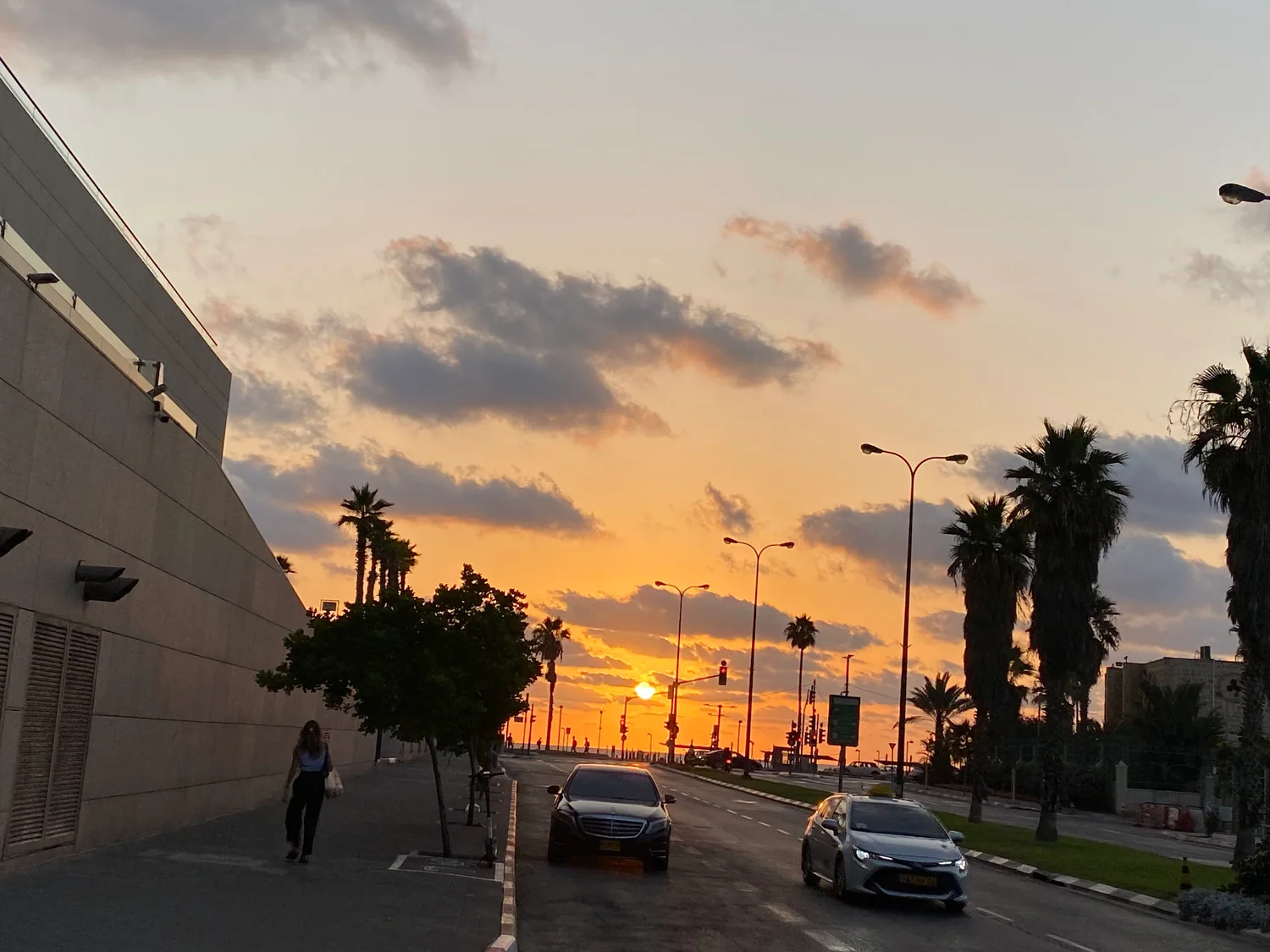 A street at sunset: the sun low between palm trees at the end of the road, with cars on the asphalt and a plain modern building along the left.