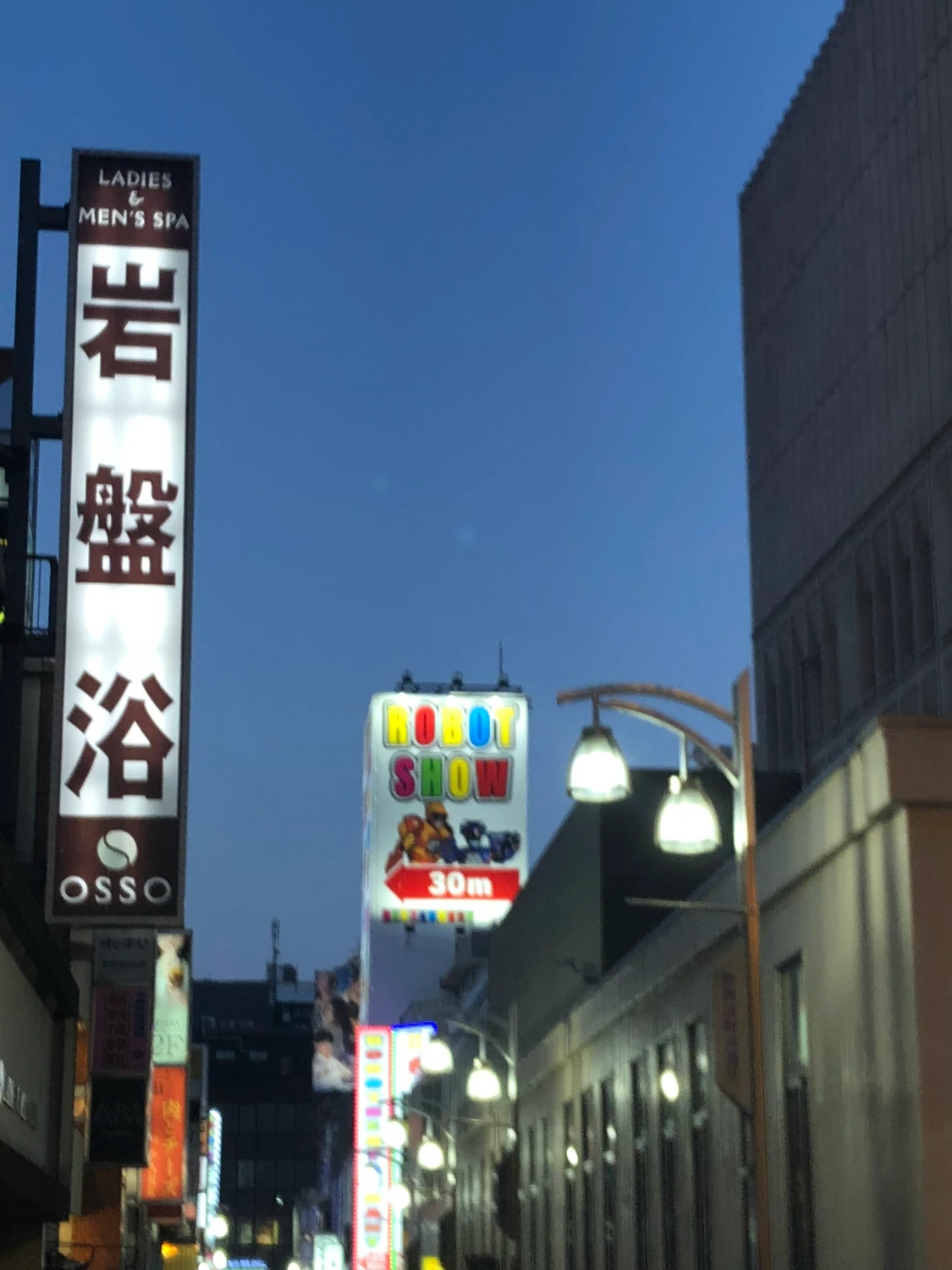 A night street with a lit vertical sign and lanterns, people walking along the pavement.