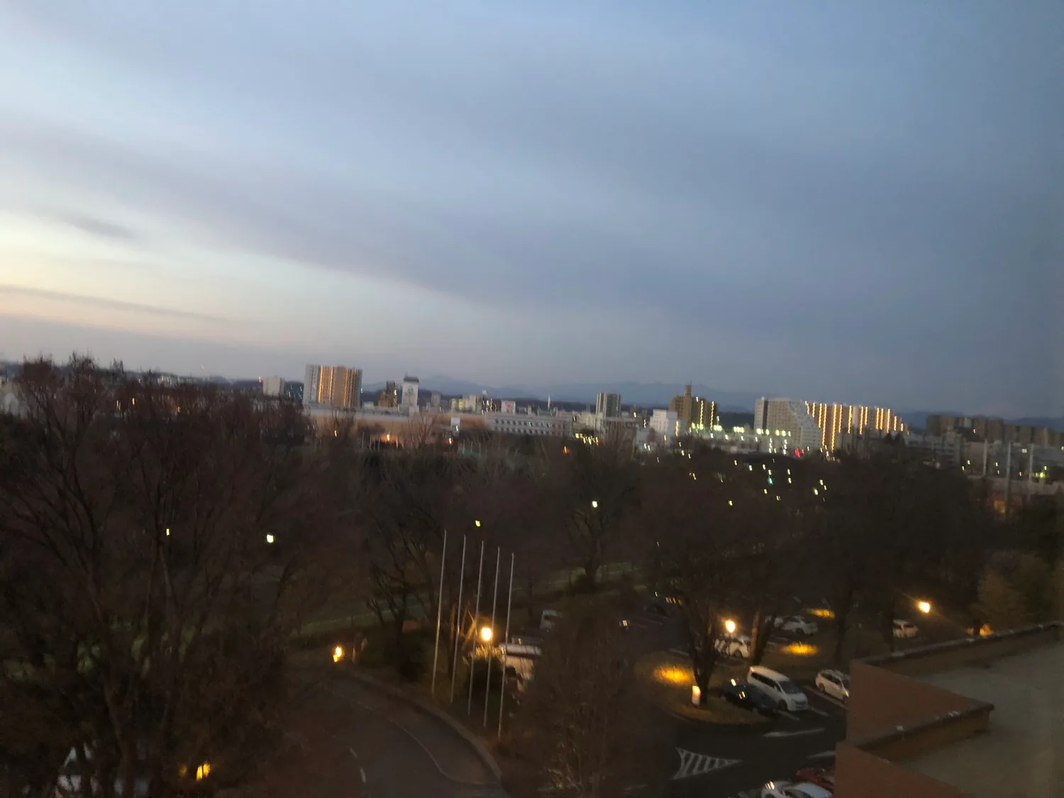 A park avenue of bare trees, lamps and parked cars at first light, with city towers and hills beyond, seen from above.