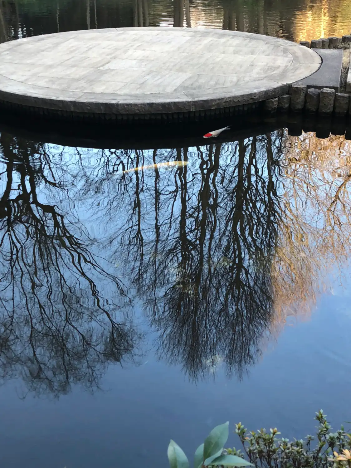 A round stone platform meeting a still pond, the bare branches above mirrored in the water and one pale fish below the surface.